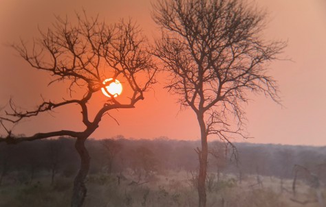 EXPERIENCIA INCREIBLE